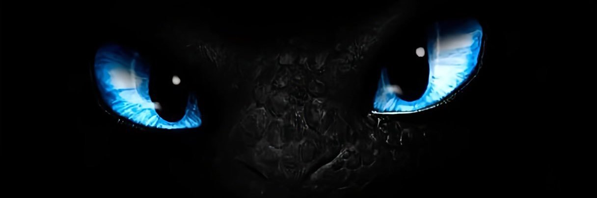 Sam  banner