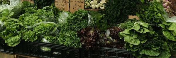 MelroseSFFM Profile Banner