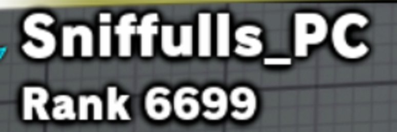 Sniffulls's profile banner image