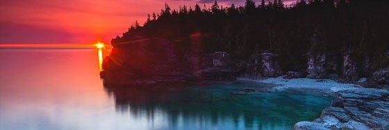 Ellen Gambles banner