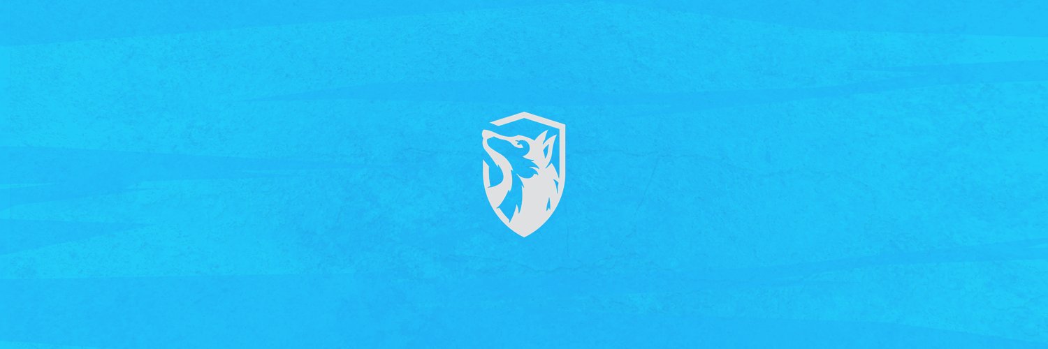 SlyFlow's profile banner image
