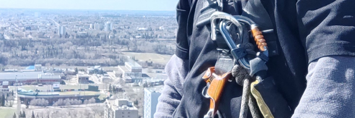 RigorLo's profile banner image