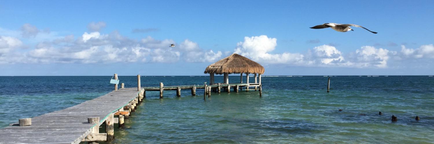 Ameet Ranadive banner