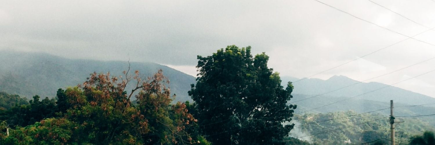 janangelidc's profile banner image