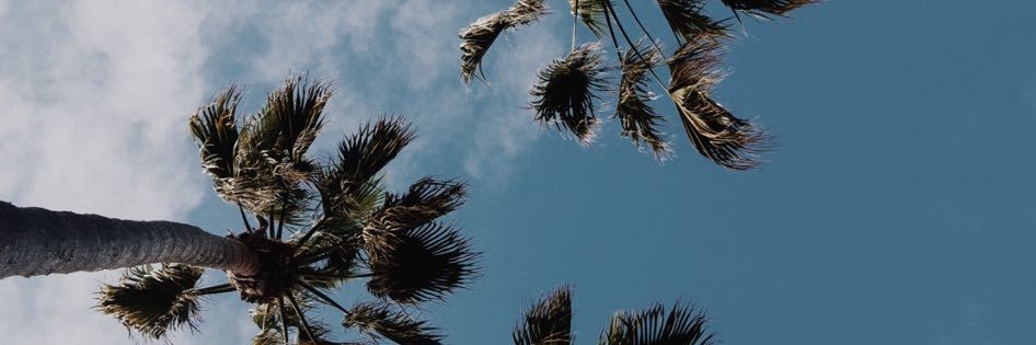 b0237's profile banner image