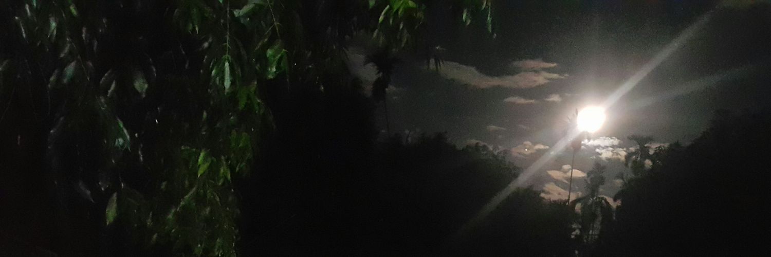 mamewwp's profile banner image