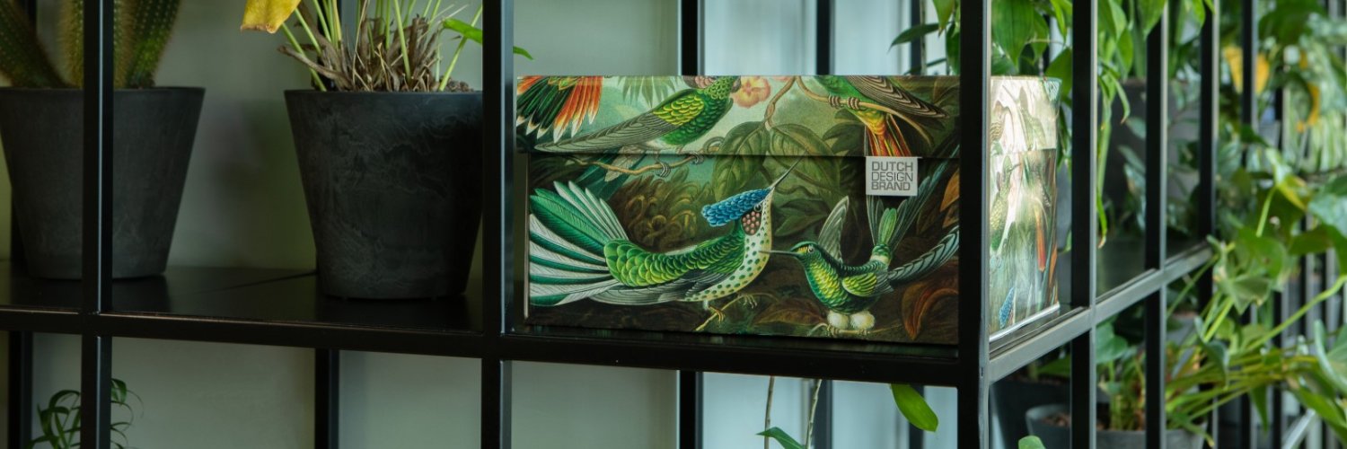DDesignBrand's profile banner image