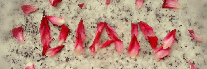 diancipuy's profile banner image