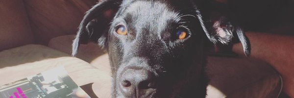chrisjcodes Profile Banner