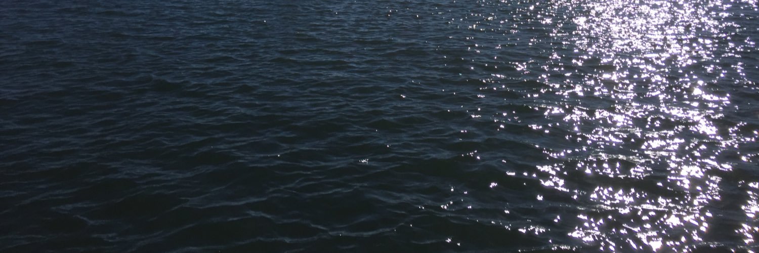 1flannob's profile banner image