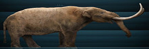 FauxMole's profile banner image