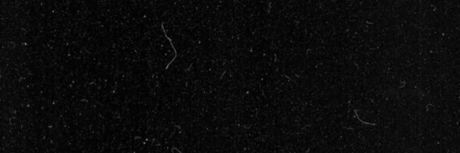 Fat_506's profile banner image