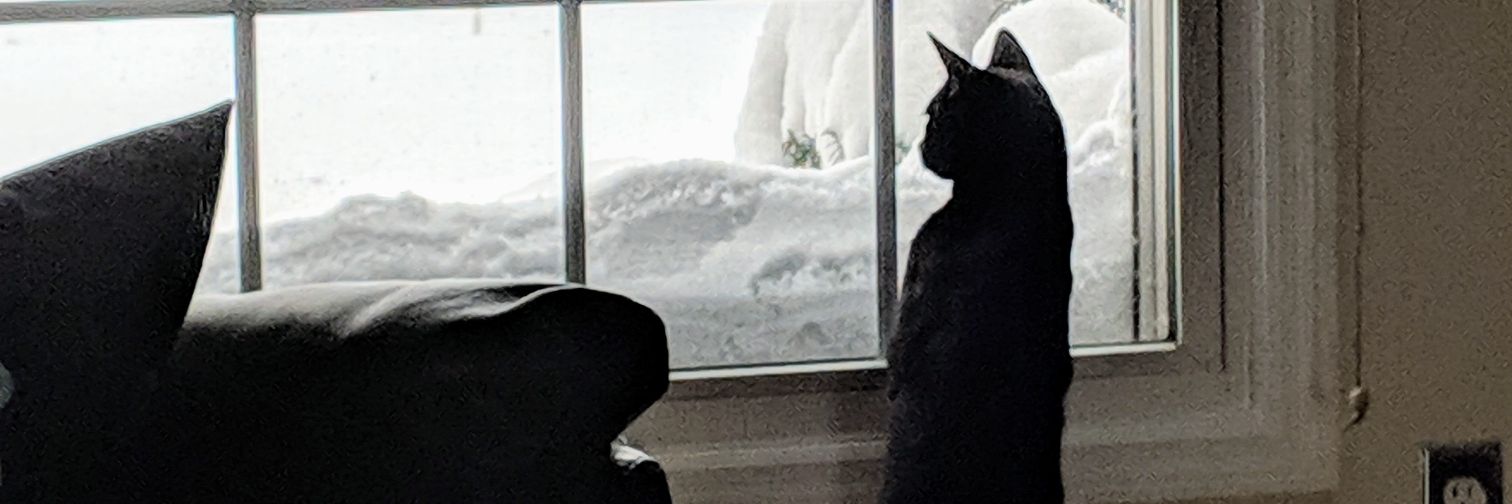 Syl_Chris's profile banner image