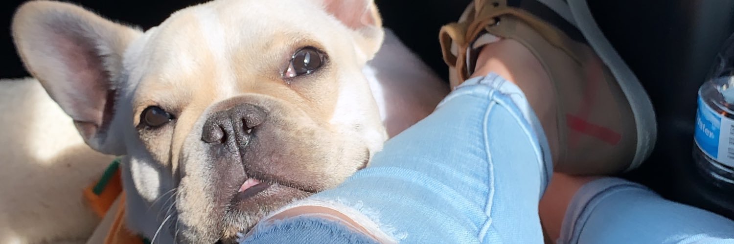 oinkkle's profile banner image