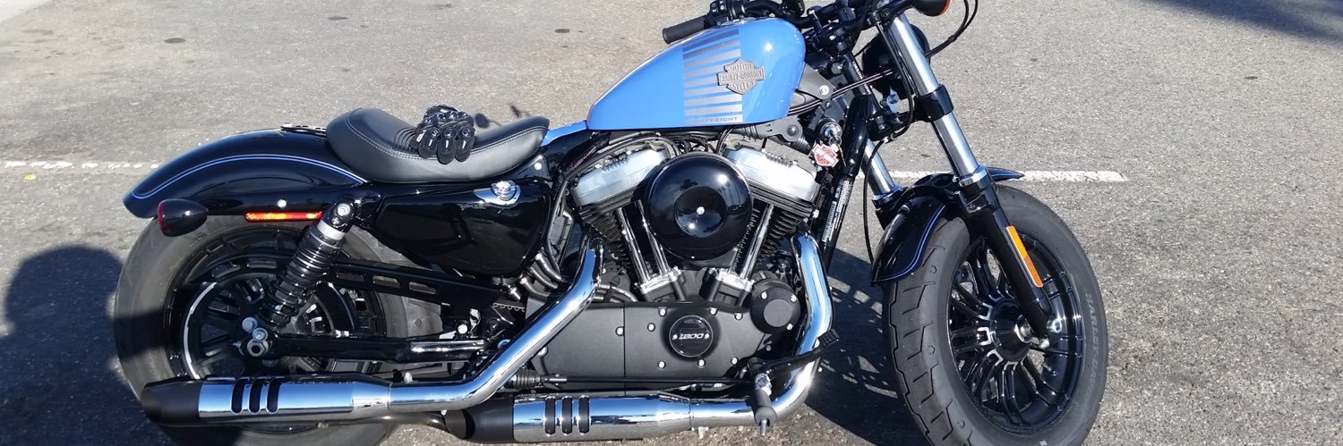 That Motorcycle Guy banner