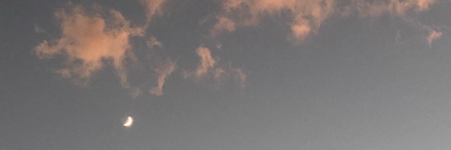 BriannaPrior's profile banner image