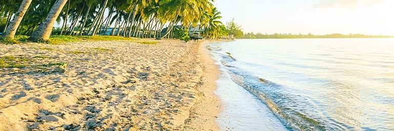 jmdsin's profile banner image