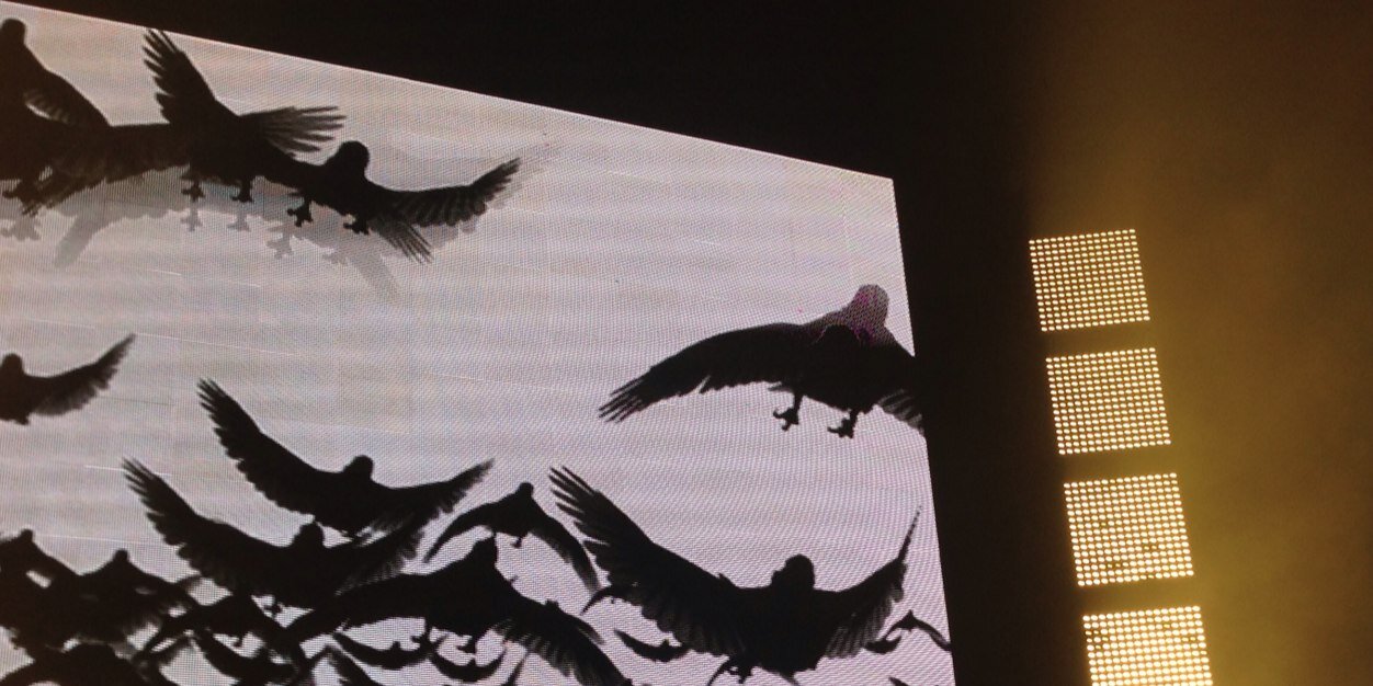 amjcbs's profile banner image