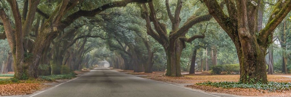 RJ_Wall's profile banner image
