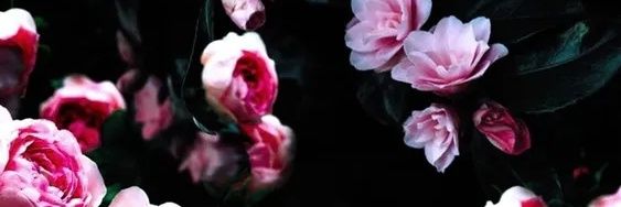 Zoe_Baddazz's profile banner image