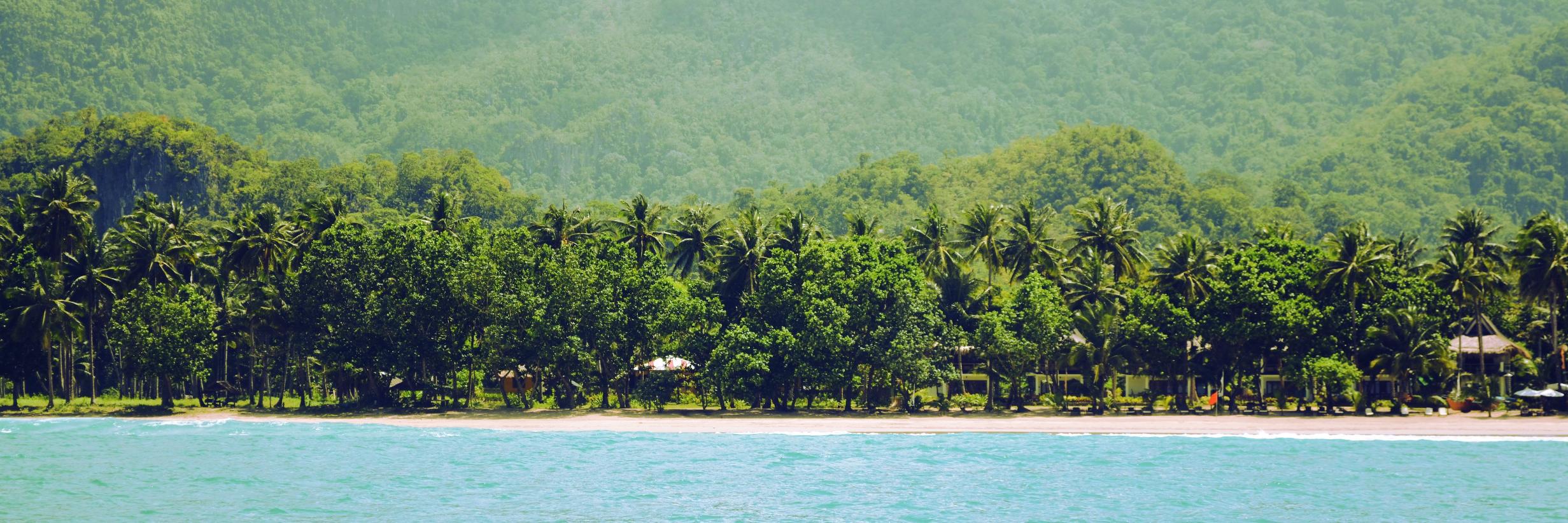 margscayao's profile banner image