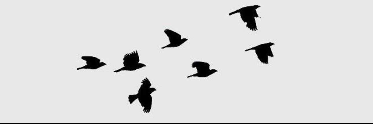 _AlexHoxrmozi's profile banner image