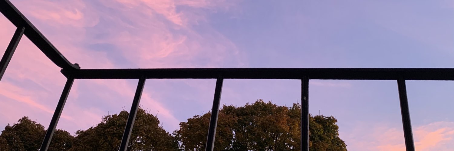 flowermariel's profile banner image