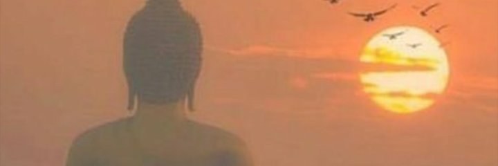 macsj7's profile banner image
