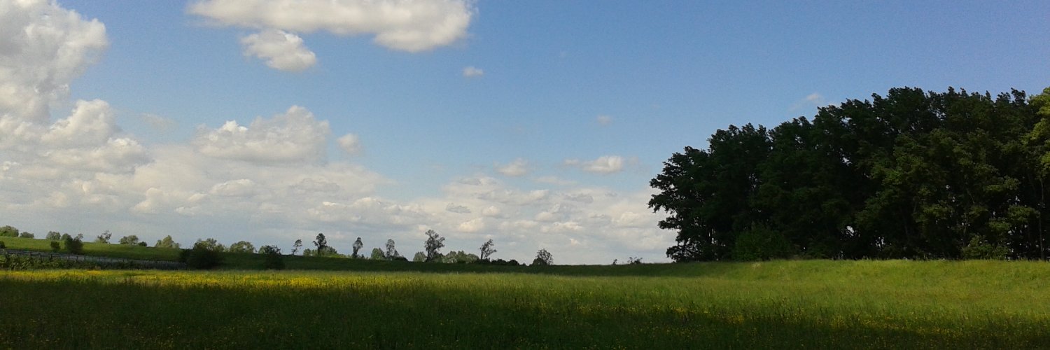 macrile's profile banner image