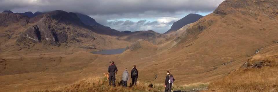 anne linsell 💙 banner