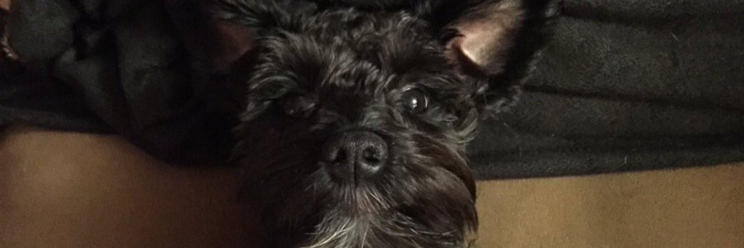 light_natty's profile banner image