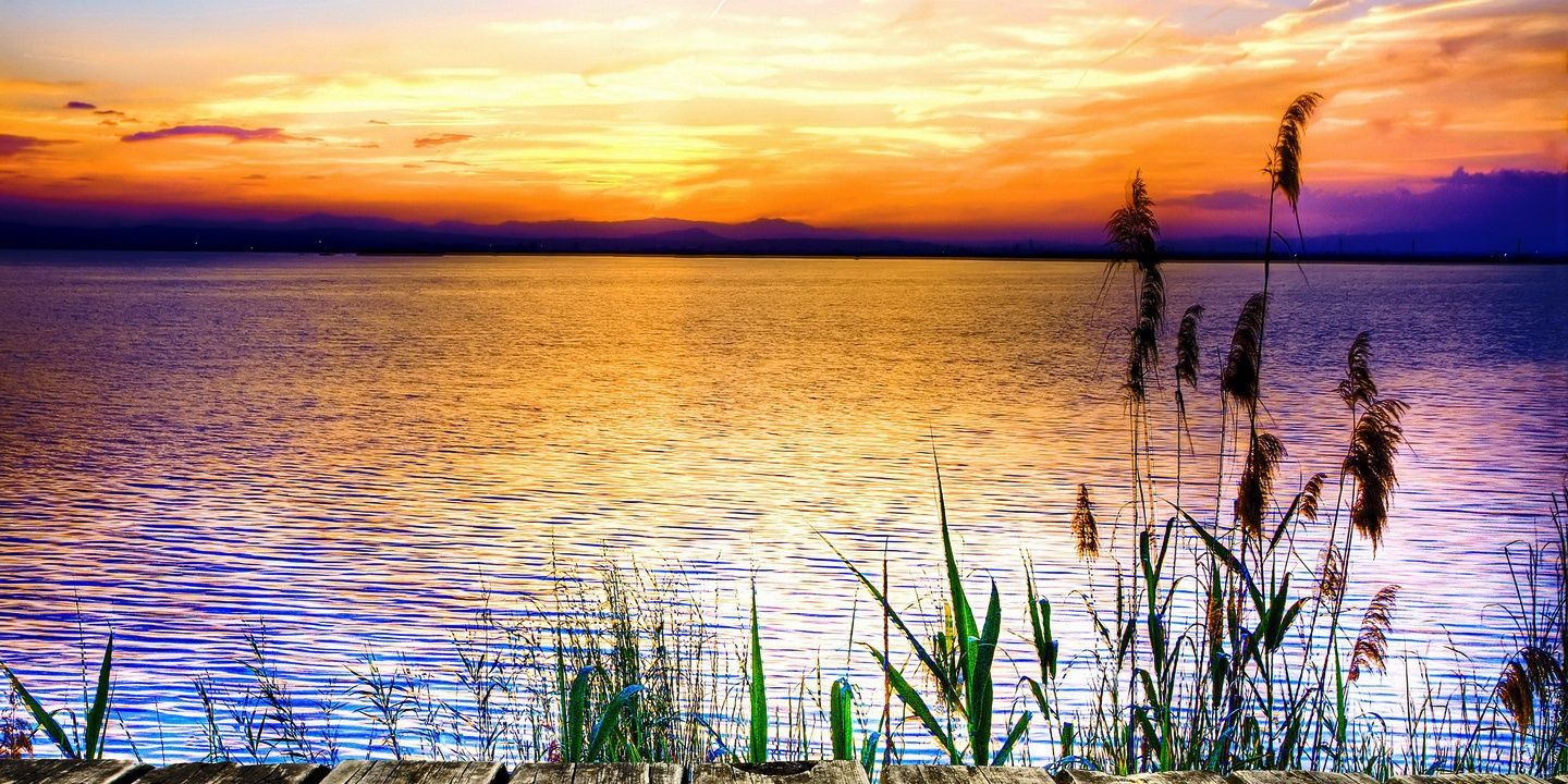 hsynhsdmr's profile banner image