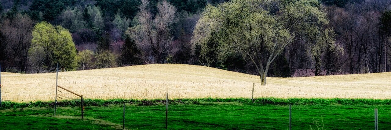 QuietCornerCT's profile banner image
