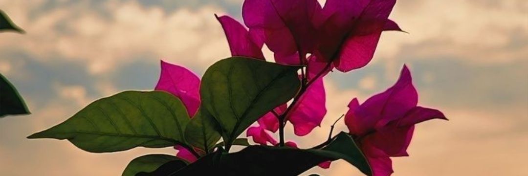 jdjd99's profile banner image