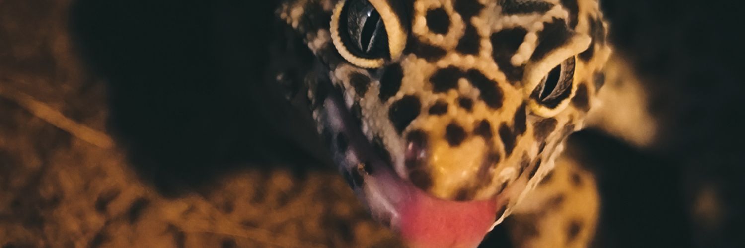 Ivanna🍃 banner