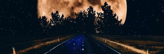 SofiLopez__'s profile banner image