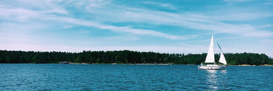 orchidspin's profile banner image
