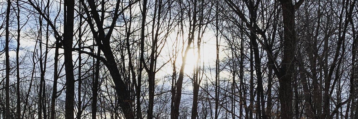 Ariane Cartwright banner