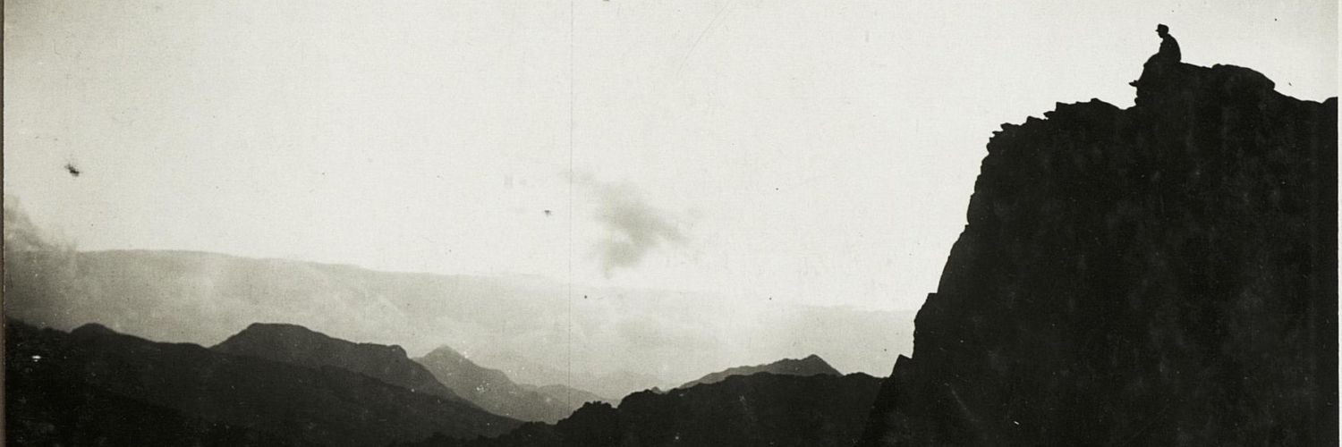 Matteo Tomasoni banner
