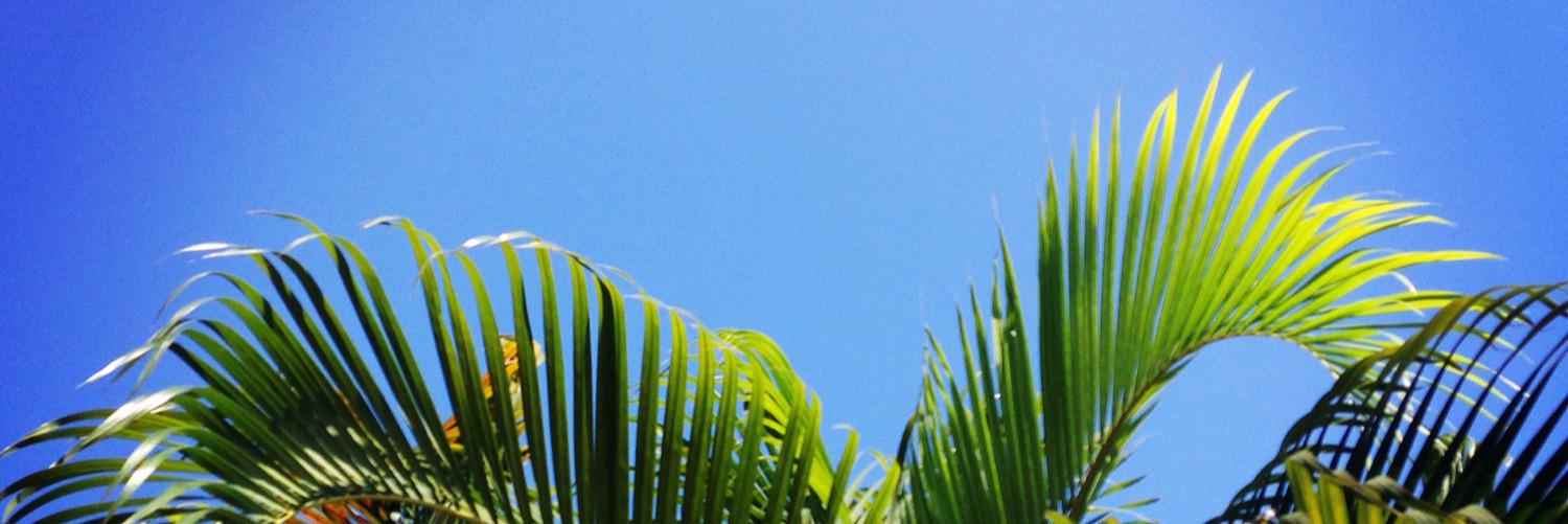 annaskoldhammar's profile banner image
