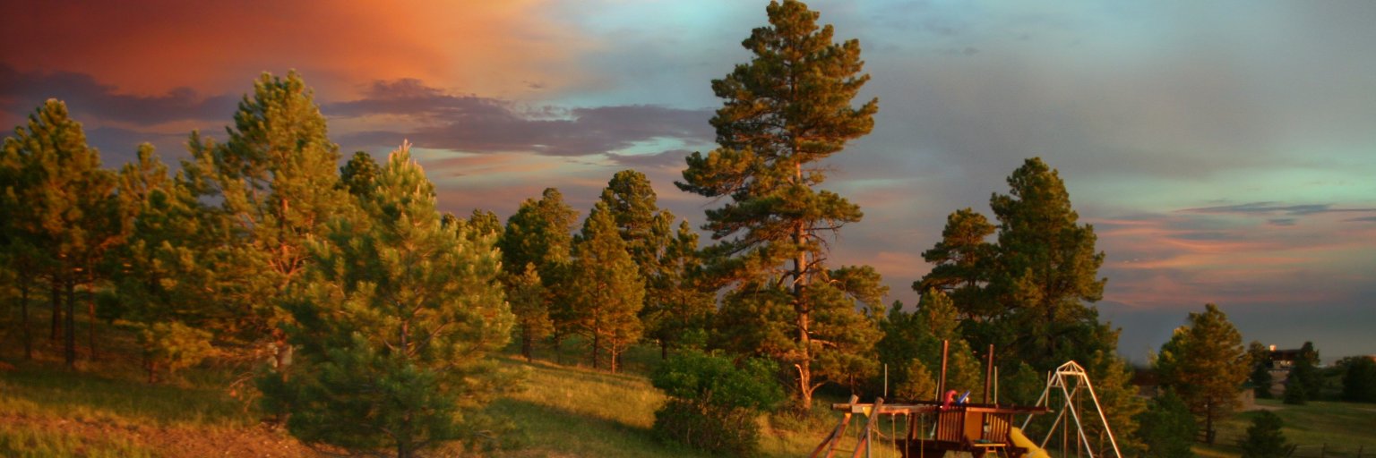 eelswood's profile banner image