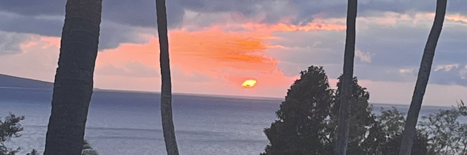 justabeachgrl3's profile banner image