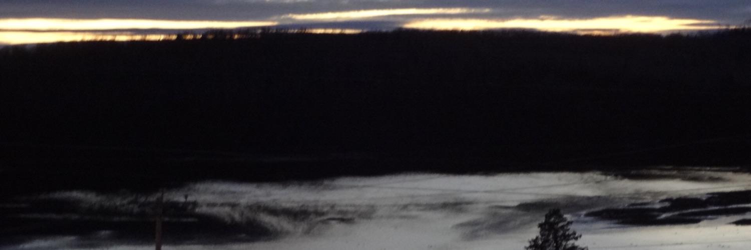 Sandra Thibeault banner