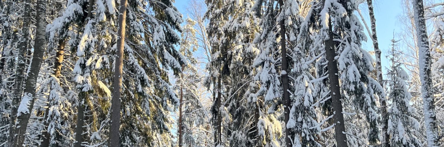 Joselyn Aguilar banner