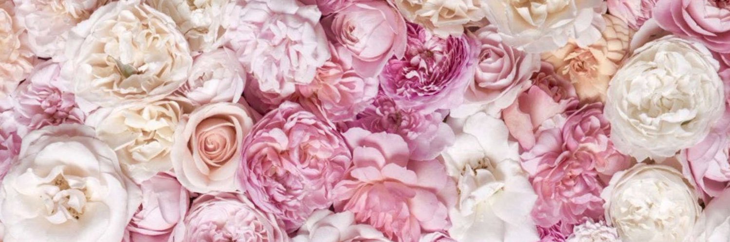 shehanh81's profile banner image