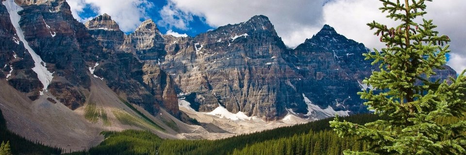 traceynolte's profile banner image
