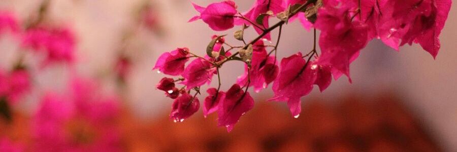 Yasin733's profile banner image