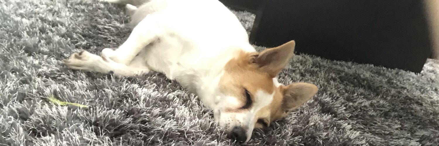 thangthat's profile banner image