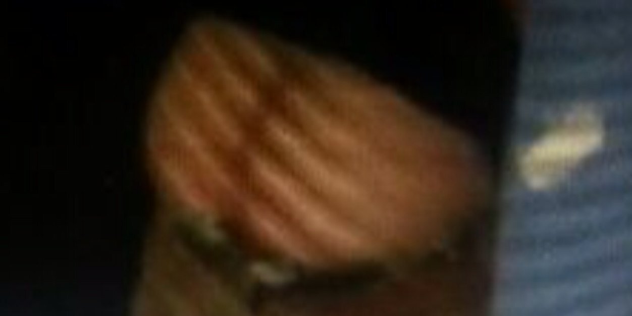 Purging_plea's profile banner image