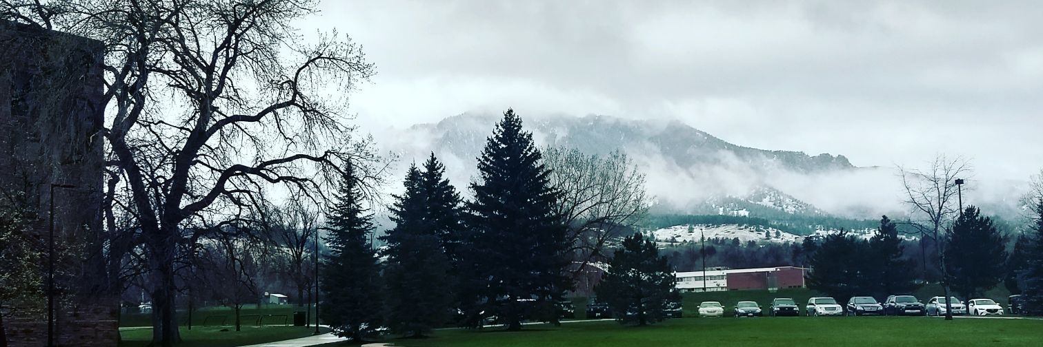 Rehan Ahmed, PhD banner